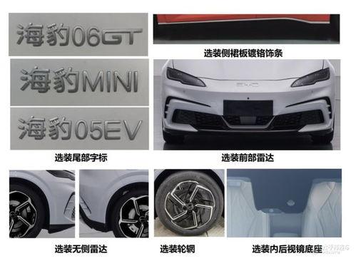 爆料比亚迪新车视频,颠覆传统，引领未来智能出行