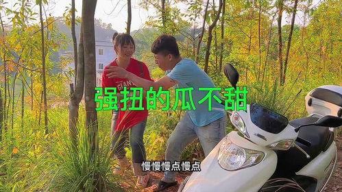 农村吃瓜爆料视频大全,揭秘乡村生活趣味瞬间  第1张